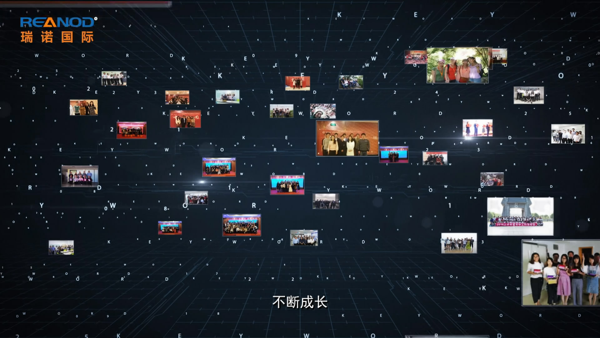 瑞諾國際 瑞諾國際